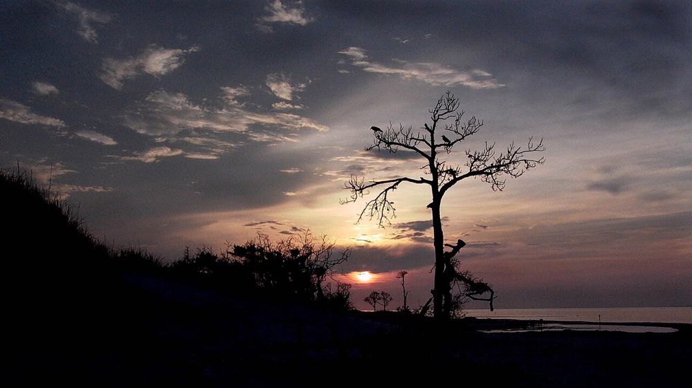 Sunset on Horn Island, Mississippi