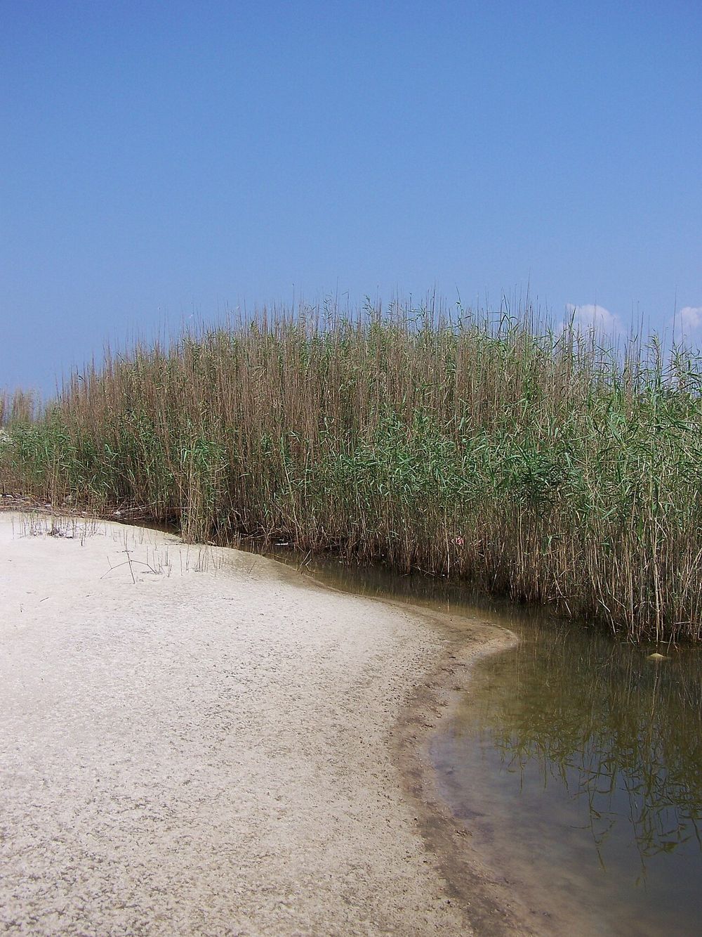 Horn Island shoreline